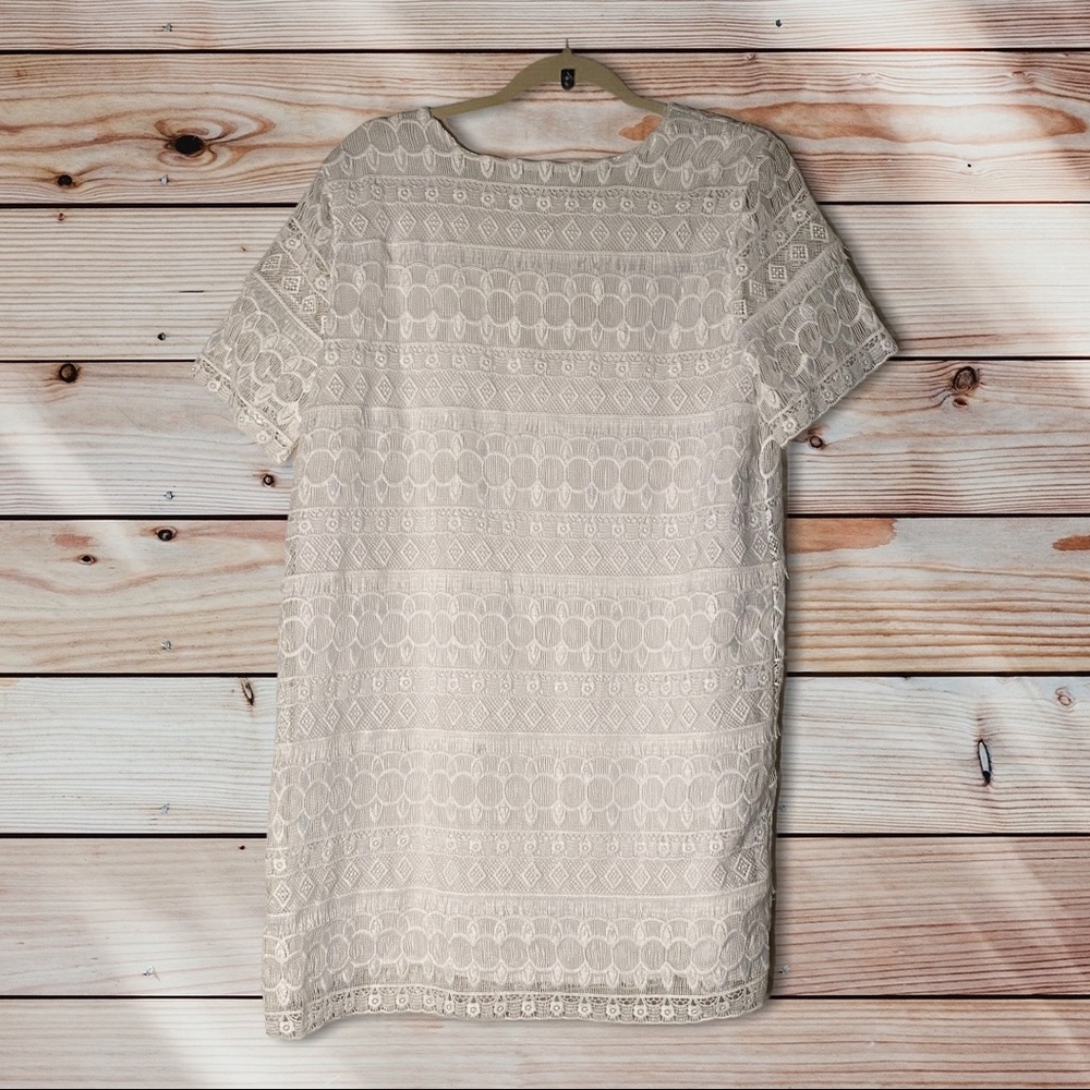 Tularosa Lambros Lace Shift Dress Sz Large